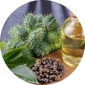 Jamaican Black Castor Oil